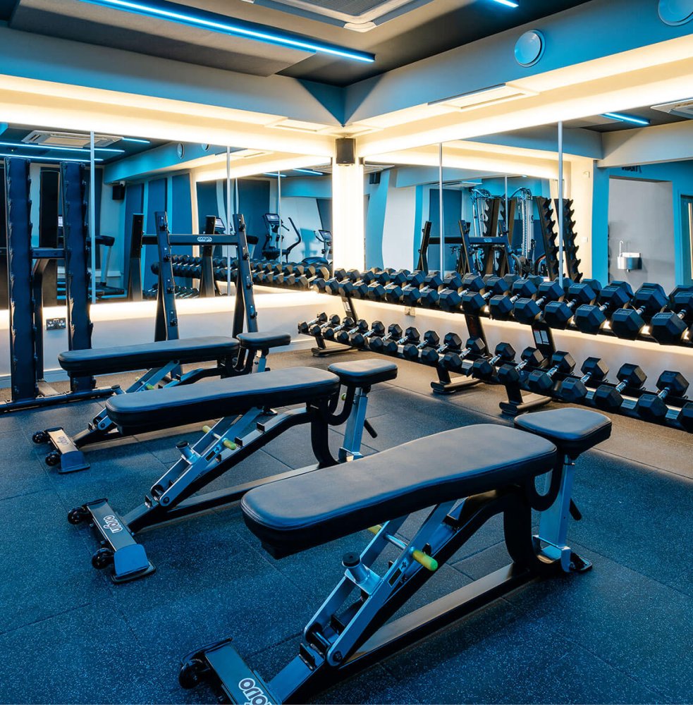 Weights Area